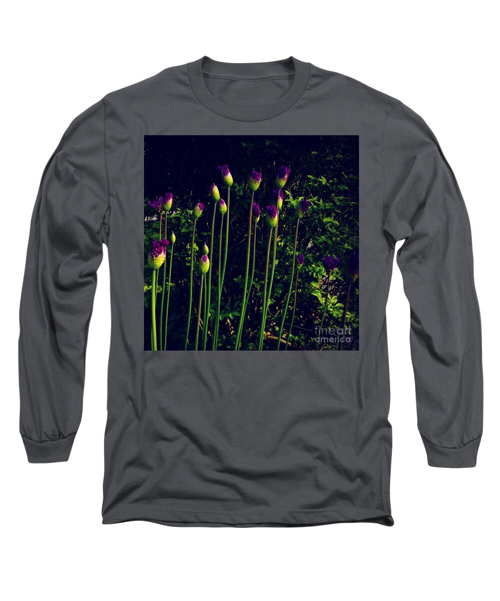 Square Format Long Sleeve T-Shirt featuring the photograph Square Neighborhood Flowers at Dusk in the Sunlight by Frank J Casella