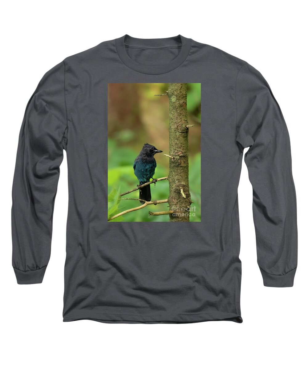 Alaska Long Sleeve T-Shirt featuring the photograph Steller's Jay in Point Bridget State Park by Nancy Gleason