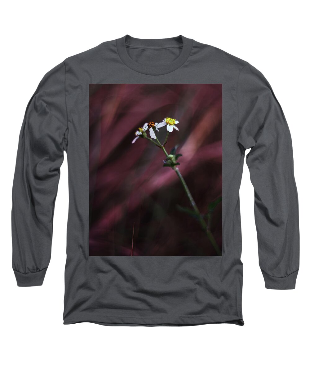 Flowers Long Sleeve T-Shirt featuring the photograph Storm by Gian Smith