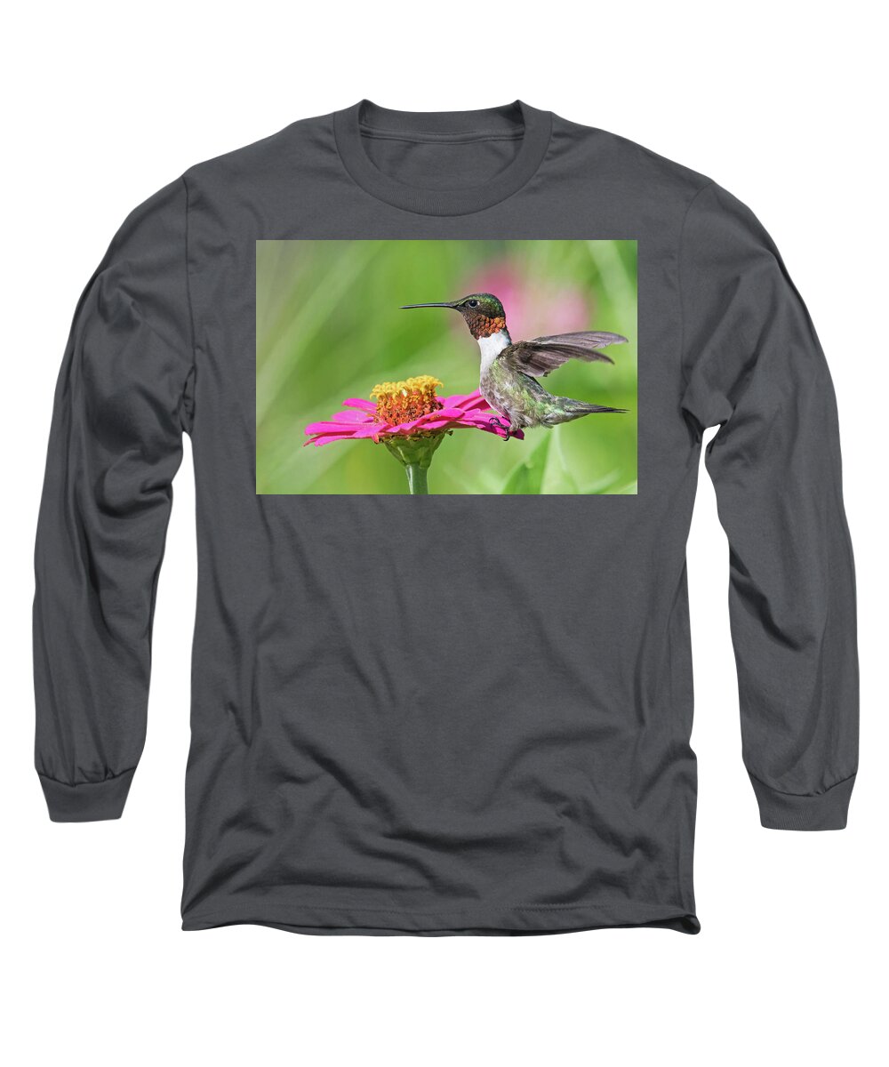 Ruby Throated Hummingbird Long Sleeve T-Shirt featuring the photograph Strike a Pose by Linda Shannon Morgan