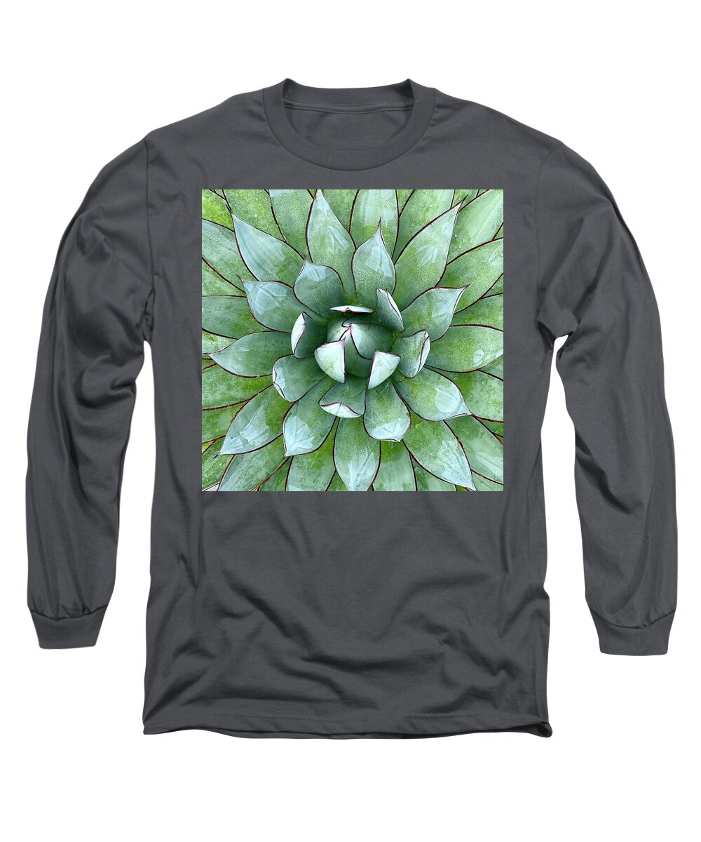  Long Sleeve T-Shirt featuring the photograph Succulent by Julie Gebhardt