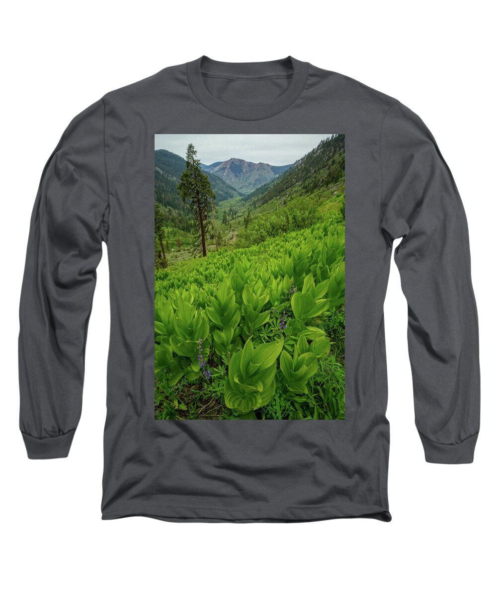 Summer Long Sleeve T-Shirt featuring the photograph Summer Green by Brett Harvey