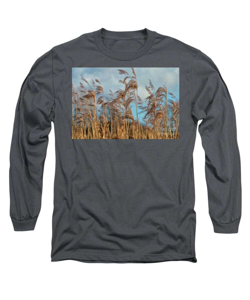 Nature Long Sleeve T-Shirt featuring the photograph Summer Pond Grasses by Baggieoldboy