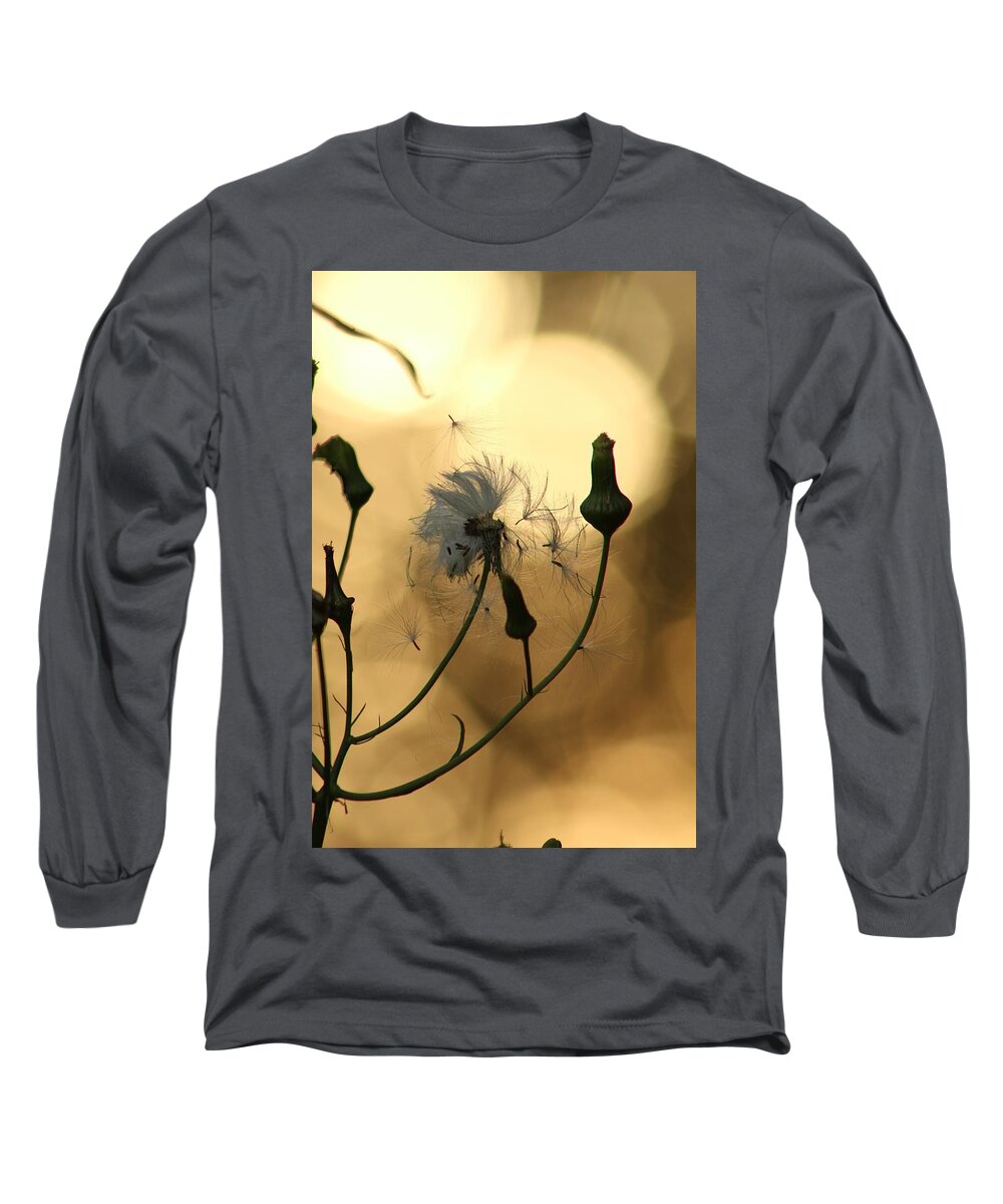 Jane Ford Long Sleeve T-Shirt featuring the photograph Summer's End by Jane Ford