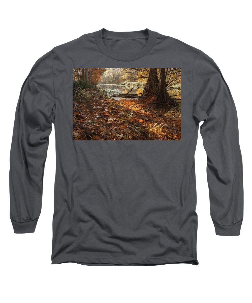 Landscape Long Sleeve T-Shirt featuring the photograph Sunlight at the Cypress Forest by Iris Greenwell