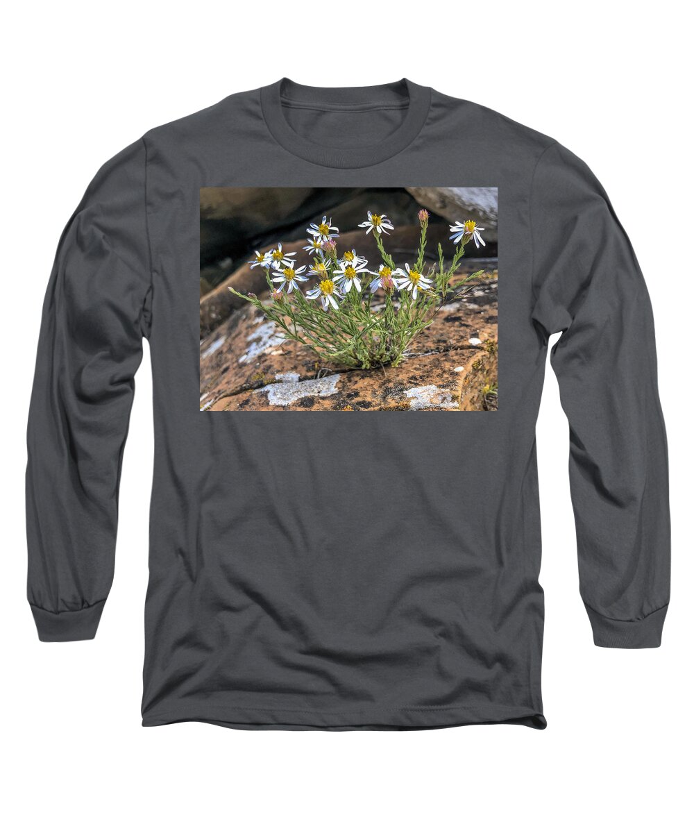 Nature Long Sleeve T-Shirt featuring the photograph Survival by Danette Steele