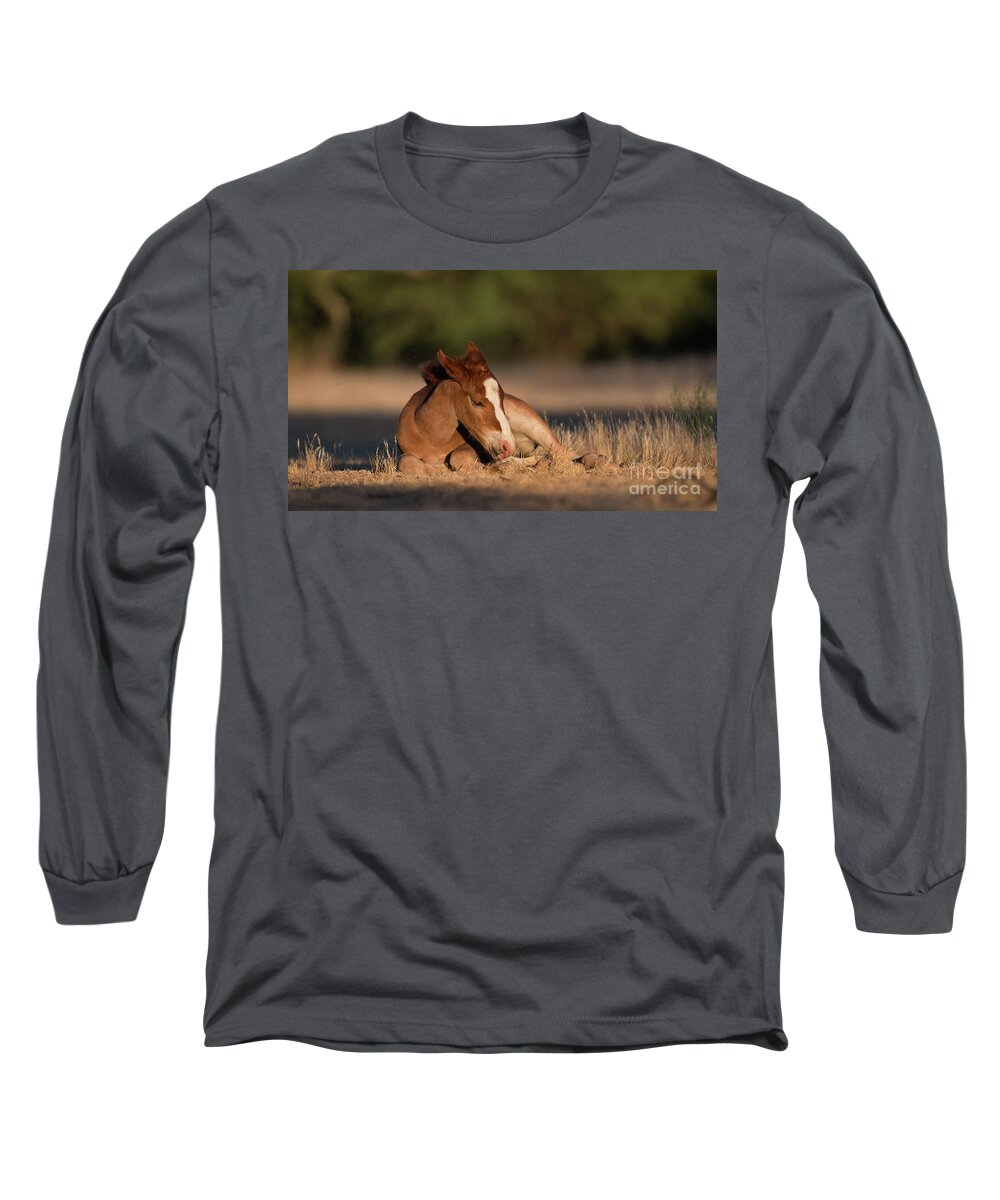 Cute Foal Long Sleeve T-Shirt featuring the photograph Sweet Dreams by Shannon Hastings