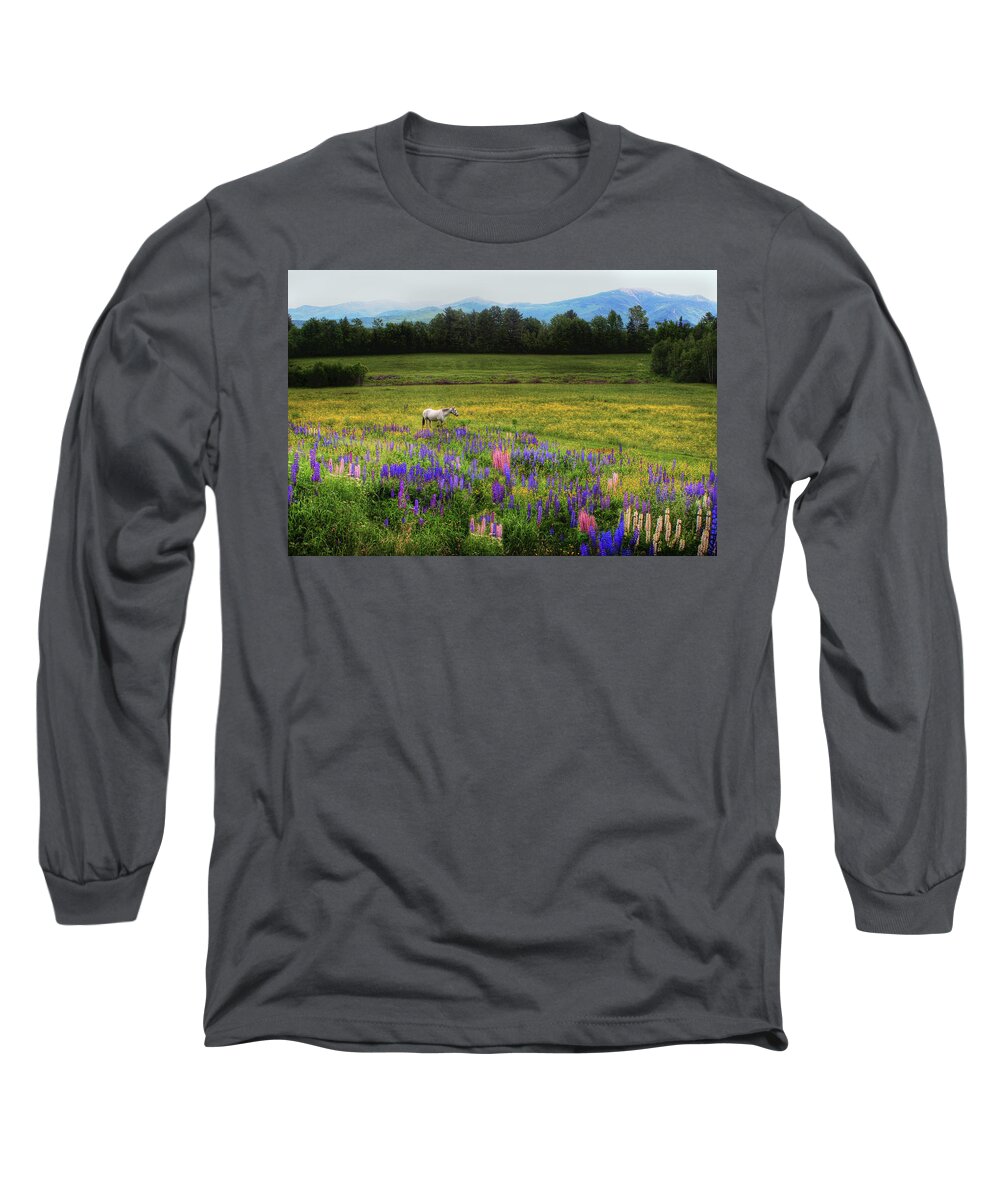 Horses Long Sleeve T-Shirt featuring the photograph Taking in the View by Wayne King