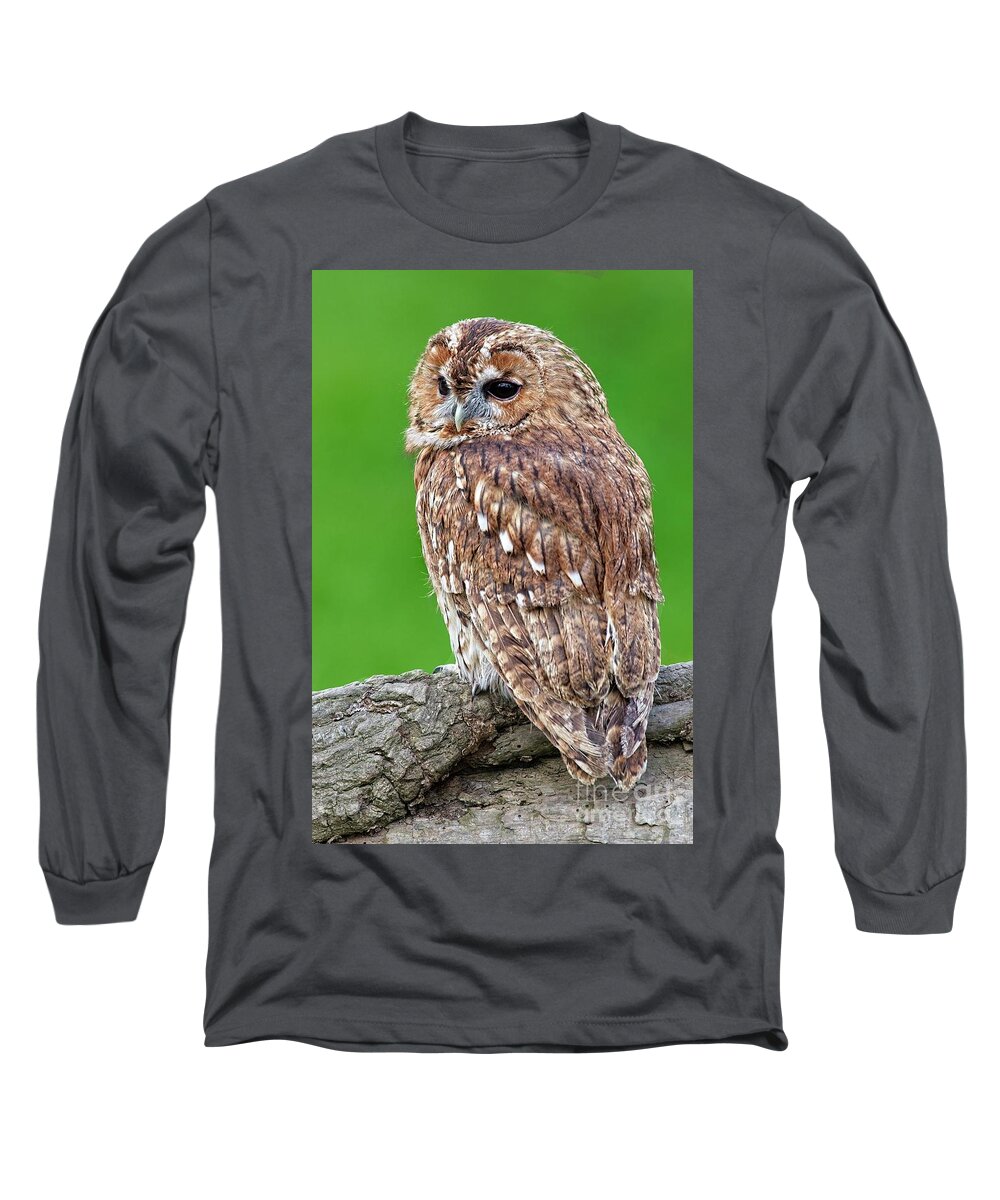 Tawny Owl Long Sleeve T-Shirt featuring the photograph Tawny Owl by Martyn Arnold