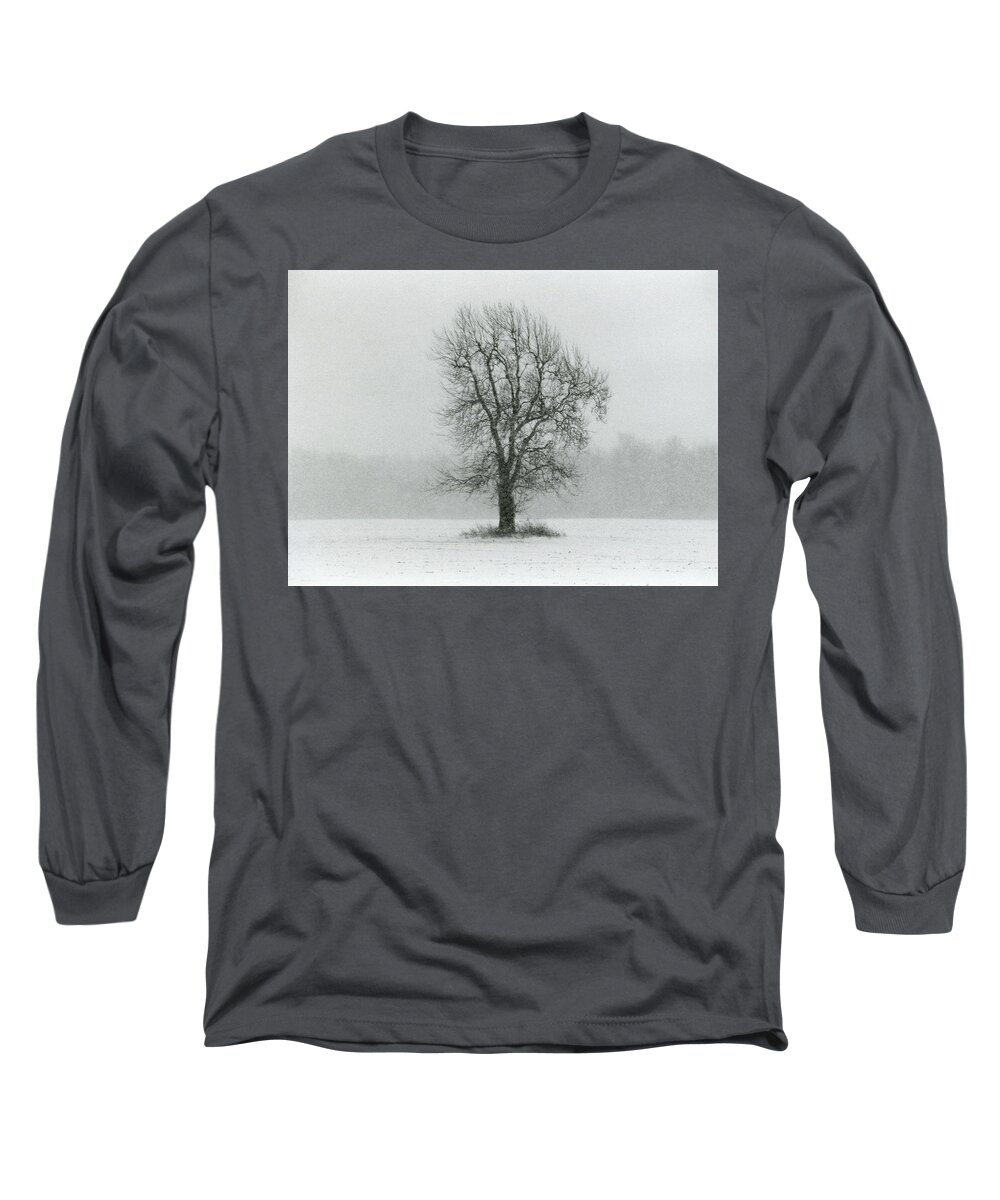 Snow Long Sleeve T-Shirt featuring the photograph The Beauty of Solitude 1 by Carrie Ann Grippo-Pike