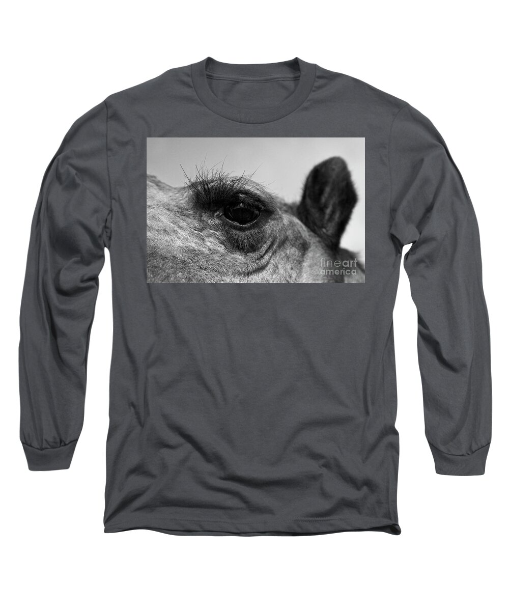 Craig Lovell Long Sleeve T-Shirt featuring the photograph The Camels Eye by Craig Lovell