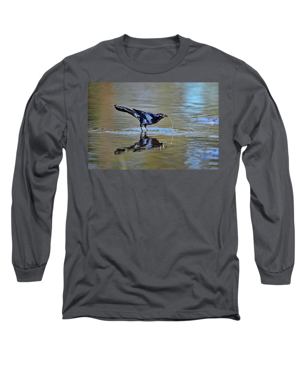  Great-tailed Grackle Long Sleeve T-Shirt featuring the photograph The Drink Trail - Grackle Quenching Thirst  by Amazing Action Photo Video