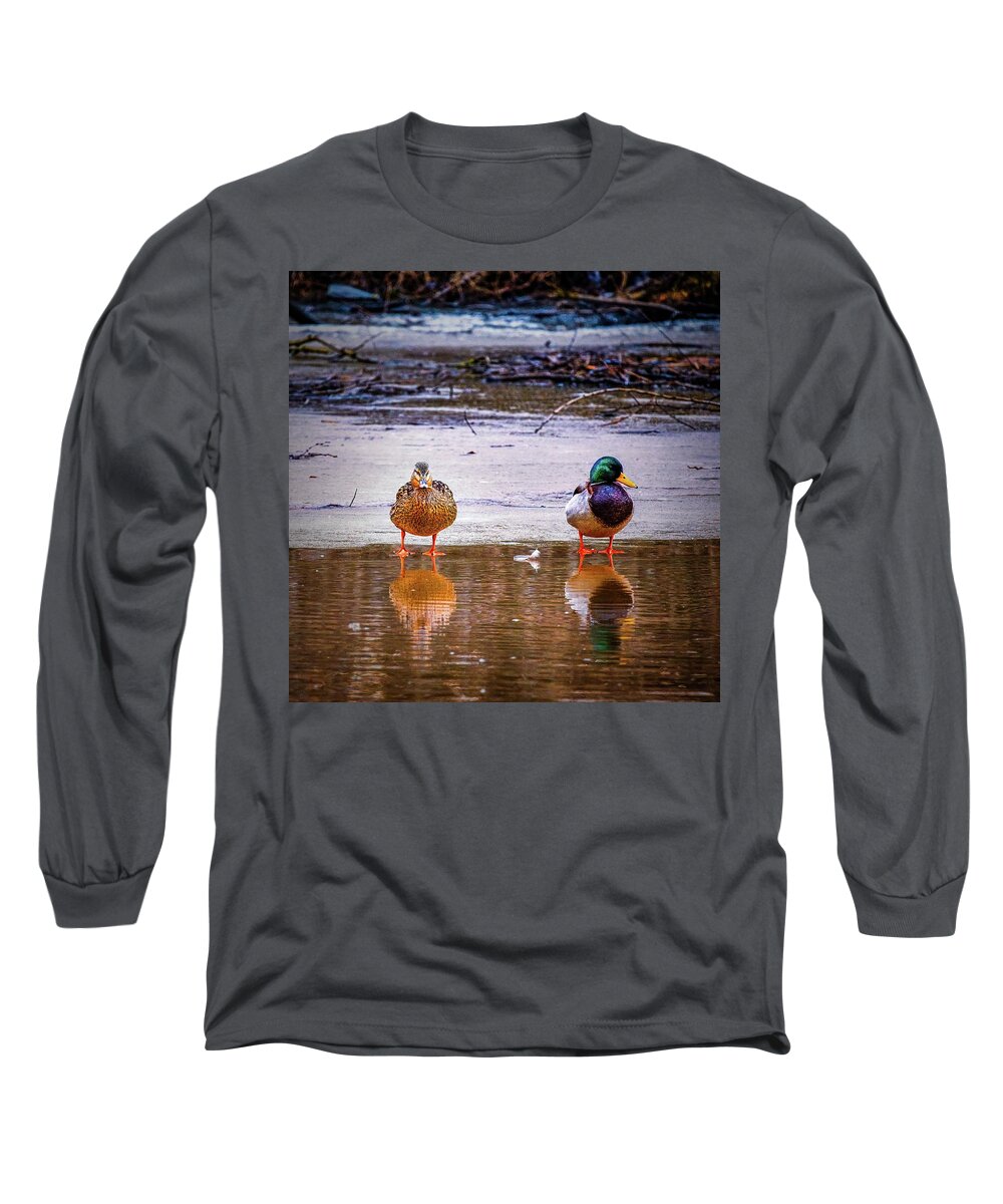 The Featherfeather Long Sleeve T-Shirt featuring the photograph The feather #k7 by Leif Sohlman