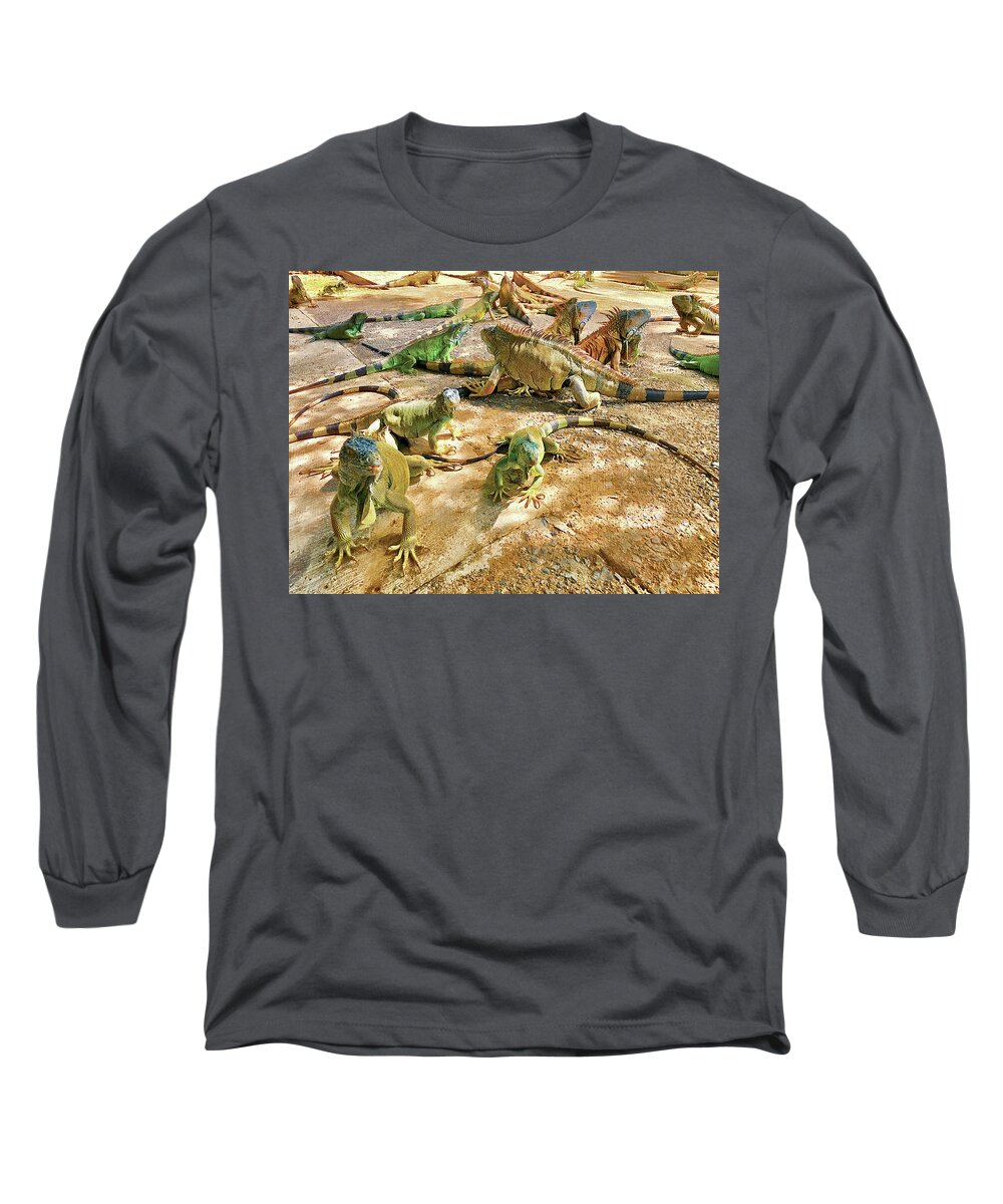 Iguana Long Sleeve T-Shirt featuring the photograph The Iguana Farm by GW Mireles