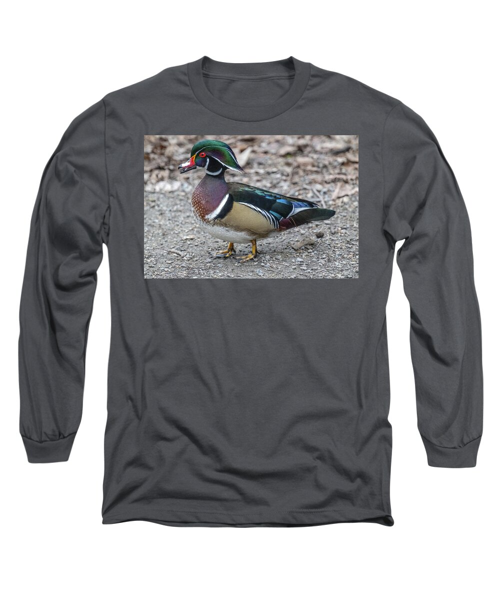 Woodduck Long Sleeve T-Shirt featuring the photograph The Prince by Jerry Cahill