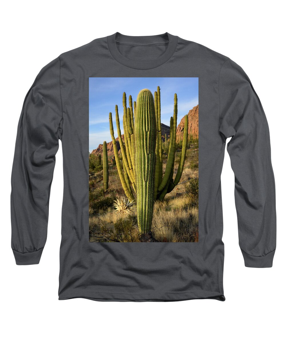 Ajo Mountain Drive Long Sleeve T-Shirt featuring the photograph The Upstart by James Covello