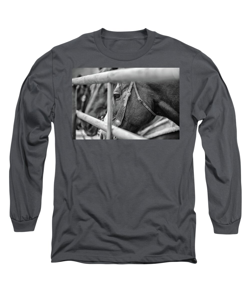 Horses Long Sleeve T-Shirt featuring the photograph The Waiting Game by Ryan Courson