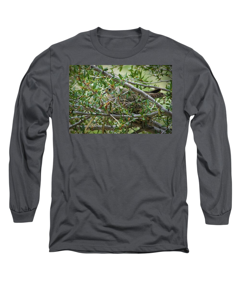 Bird Long Sleeve T-Shirt featuring the photograph The Well Camouflaged Mourning Dove by Mary Lee Dereske