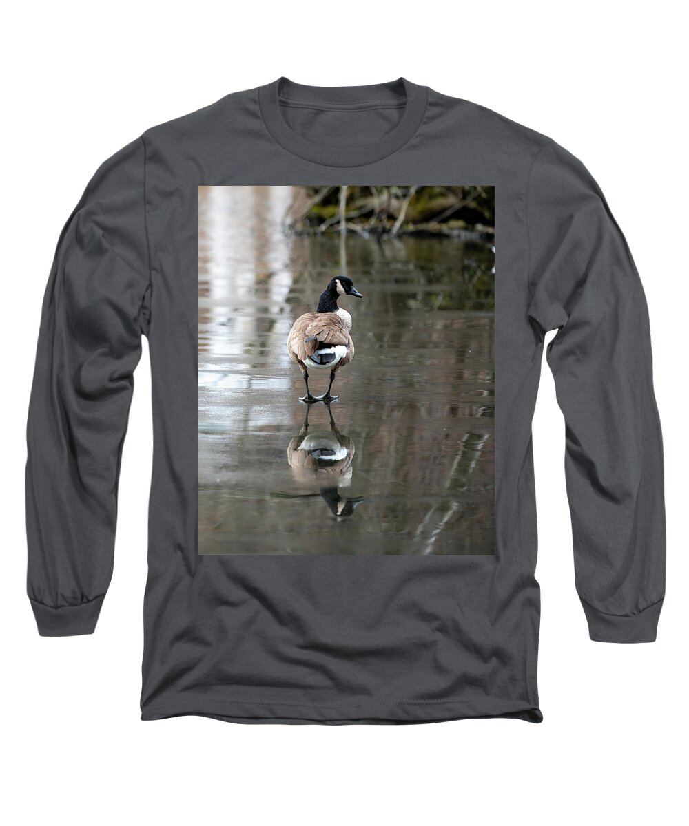 Canadian Goose Long Sleeve T-Shirt featuring the photograph Thin Ice by Kevin Suttlehan