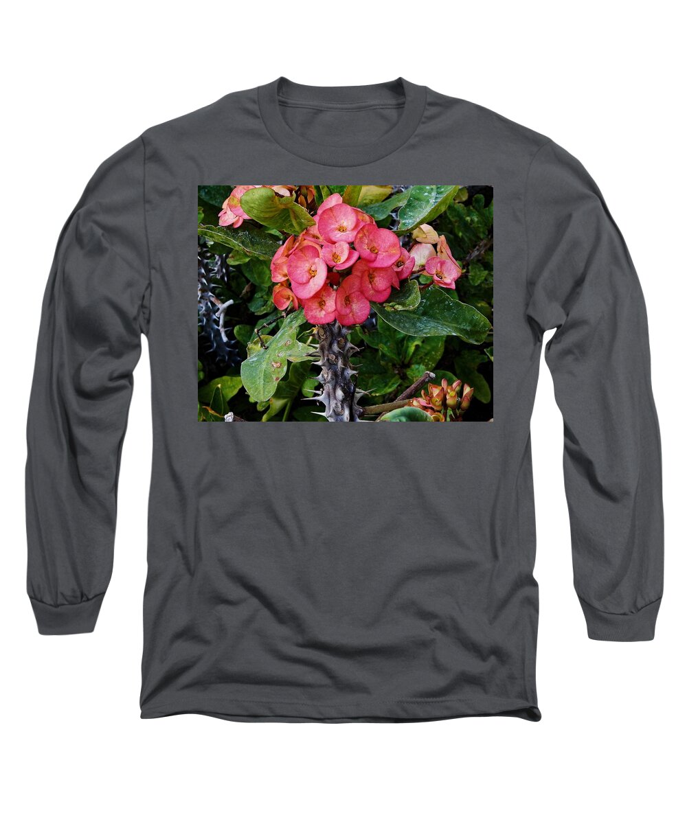 Flower Long Sleeve T-Shirt featuring the photograph Thorn Flower by Andrew Lawrence