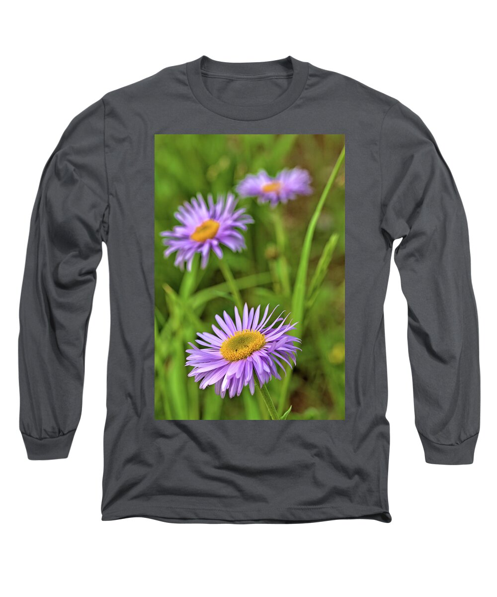 Asters Long Sleeve T-Shirt featuring the photograph Three Asters by Bob Falcone