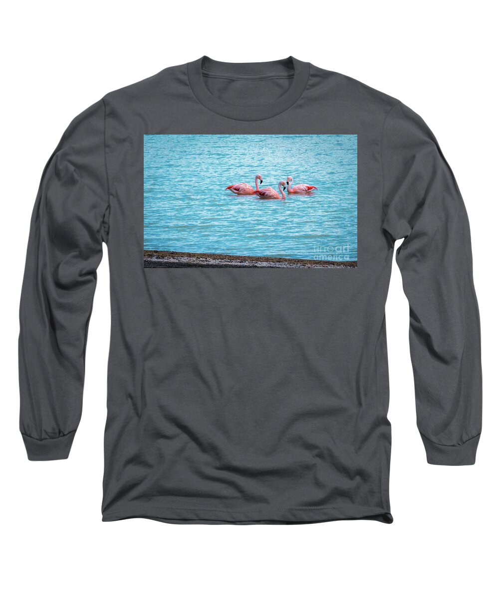 Flamingo Long Sleeve T-Shirt featuring the photograph Three flamingos on the Laguna Amarga by Lyl Dil Creations