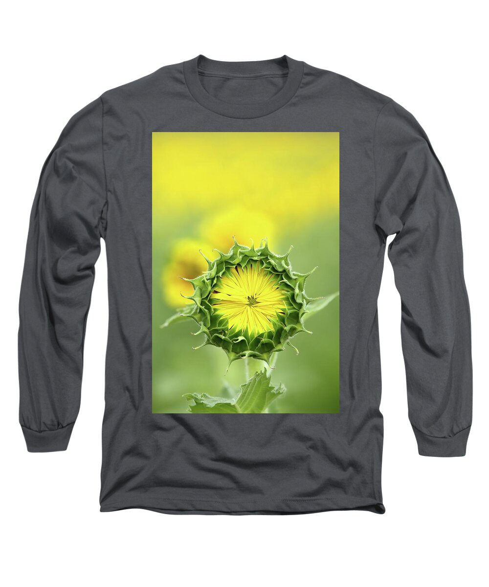 Sunflower Long Sleeve T-Shirt featuring the photograph Time To Wake Up by Lens Art Photography By Larry Trager
