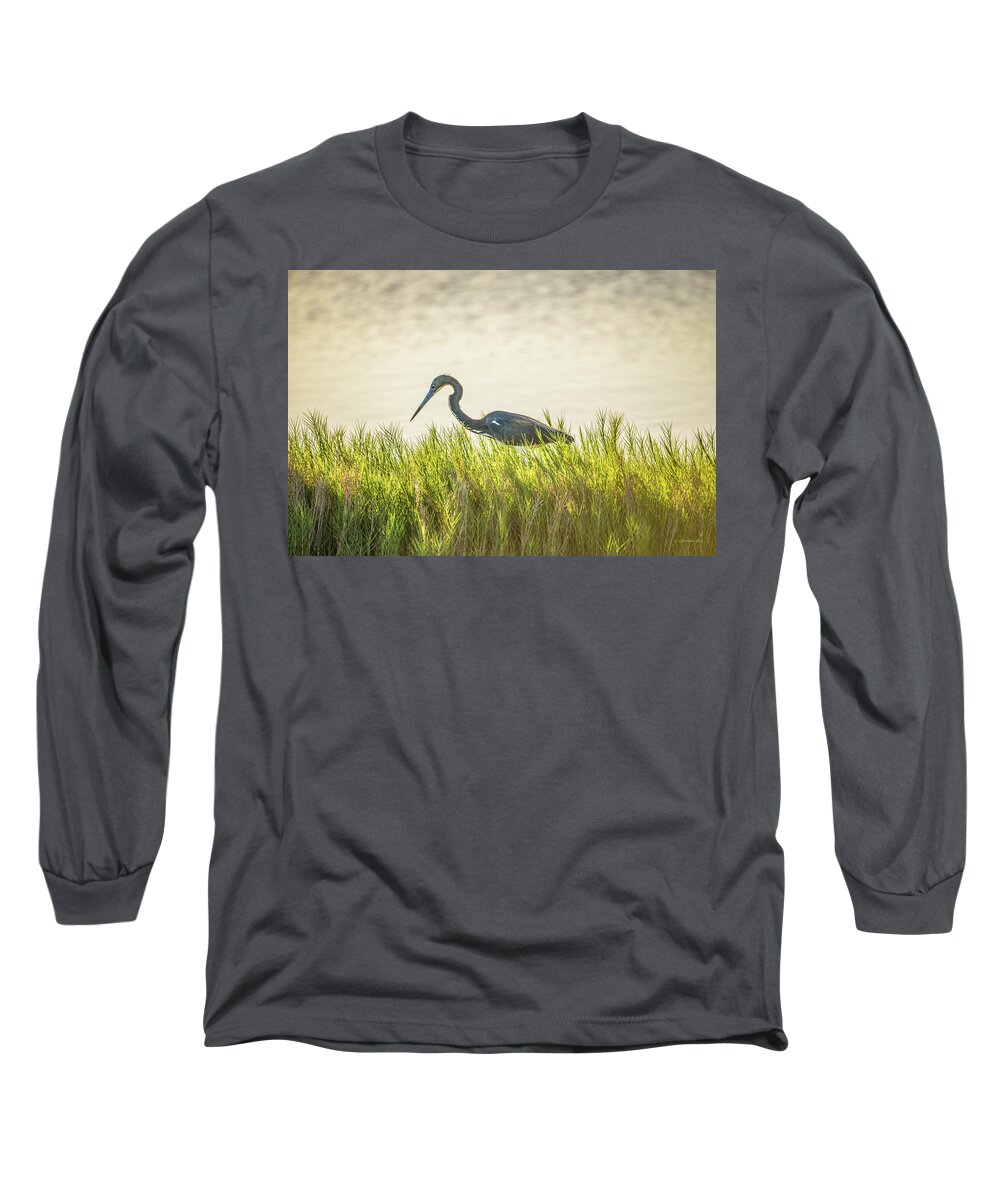 Tricolored Long Sleeve T-Shirt featuring the photograph Tricolored and Saltgrass by Christopher Rice