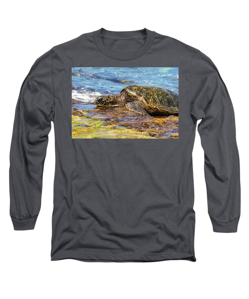Hawaii Long Sleeve T-Shirt featuring the photograph Turtle at Turtle Beach by Betty Eich