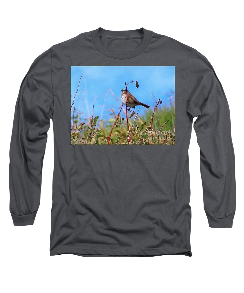 Birds Long Sleeve T-Shirt featuring the photograph Twiggy Bird by Kimberly Furey