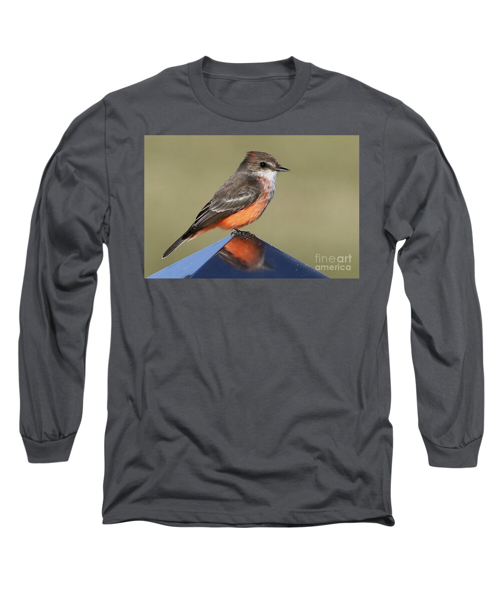 Wildlife Long Sleeve T-Shirt featuring the photograph Vermilion Flycatcher in the Everglades by Meg Rousher