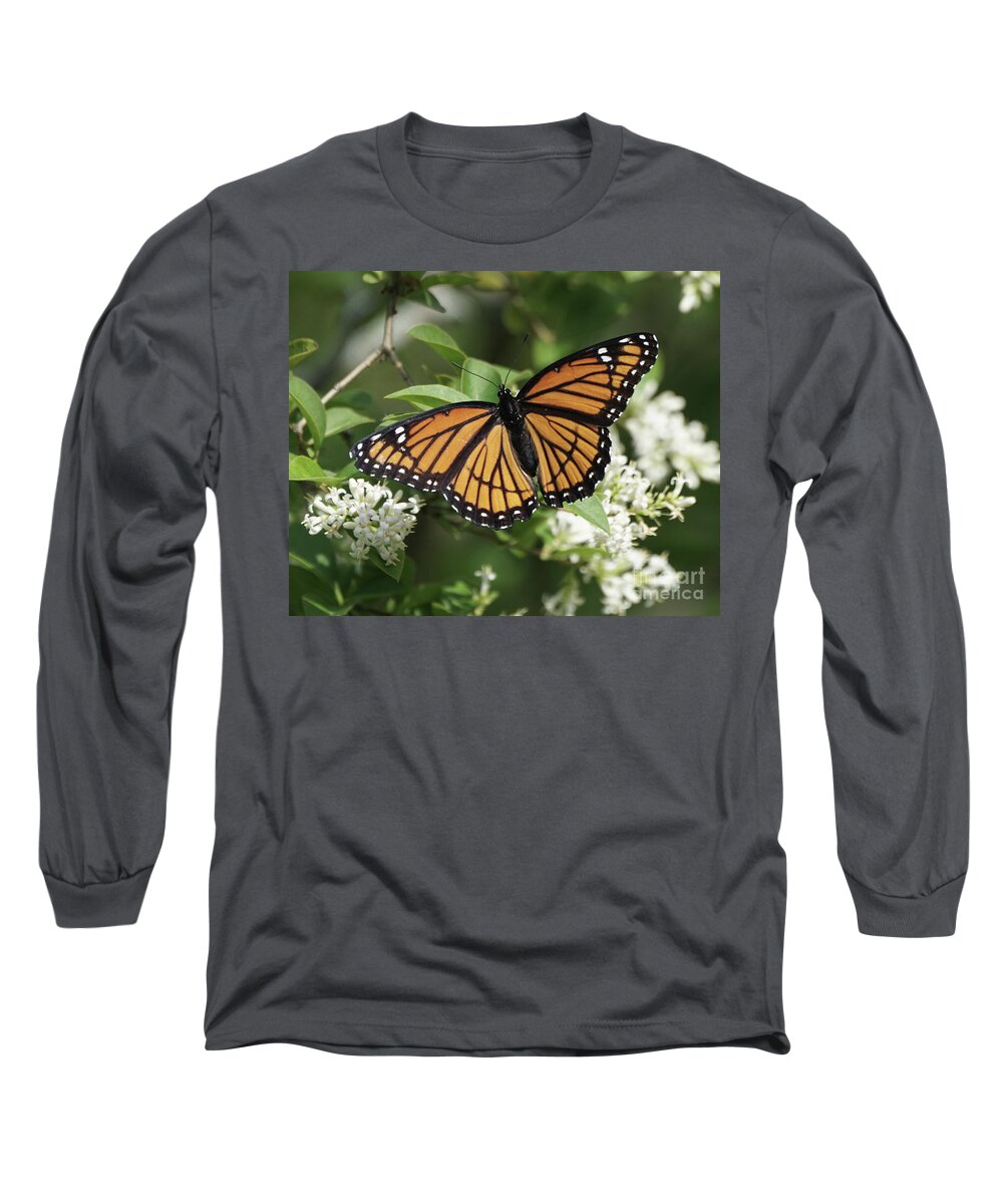 Viceroy Butterfly Long Sleeve T-Shirt featuring the photograph Viceroy Butterfly on Privet Flowers by Robert E Alter