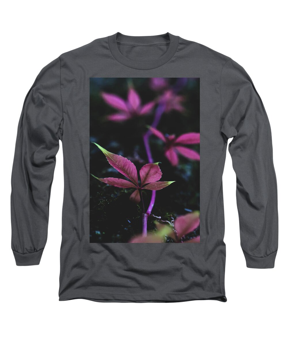 Mountain Long Sleeve T-Shirt featuring the photograph Vine Vibes by Go and Flow Photos