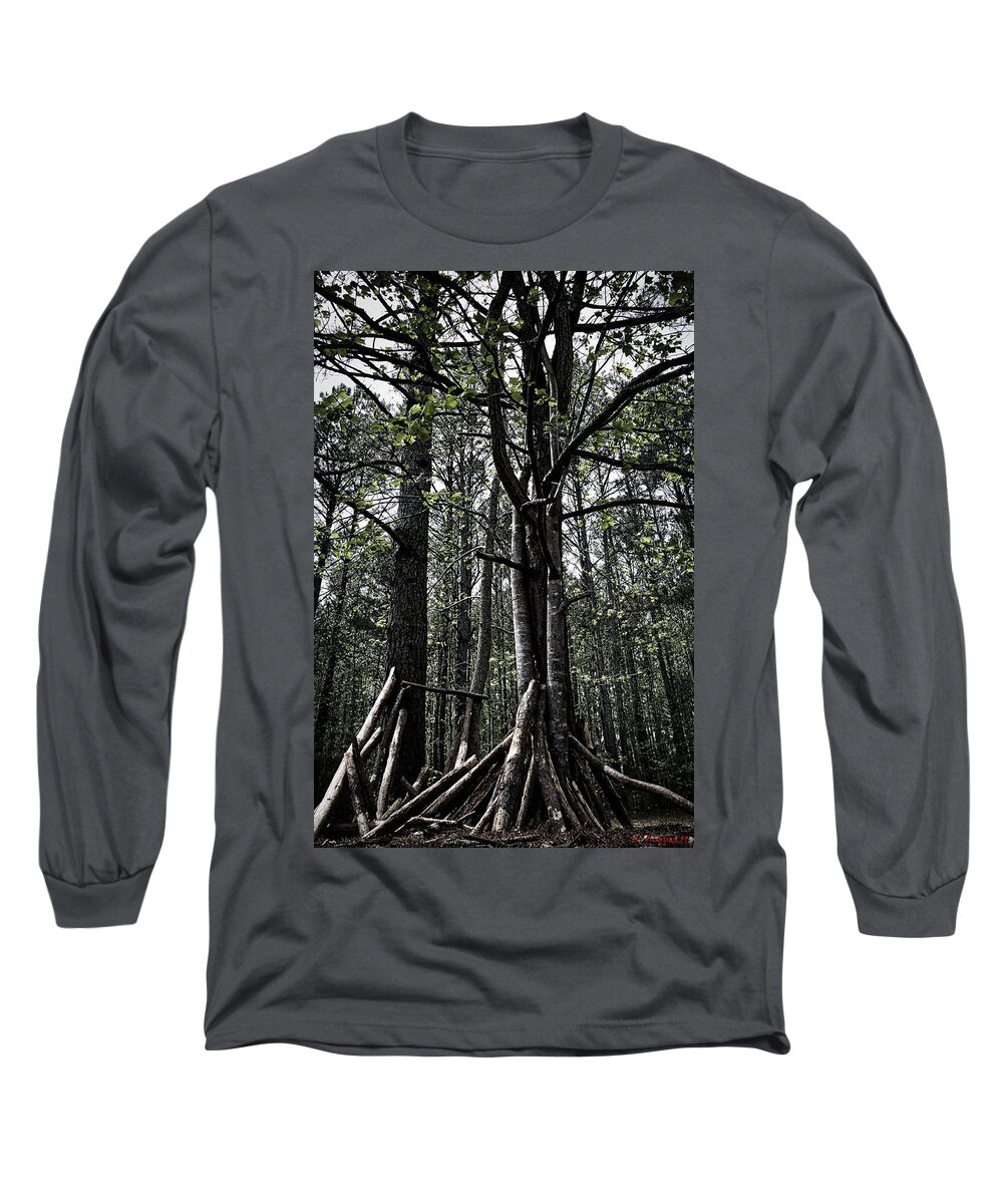 Trees Long Sleeve T-Shirt featuring the photograph Virginia Forrest by Rene Vasquez