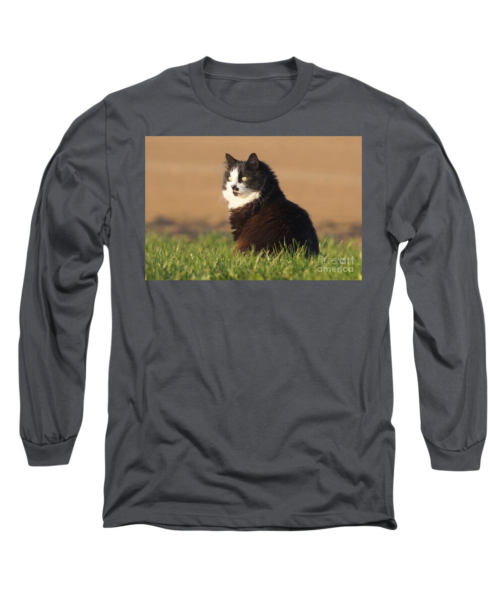 Cat Long Sleeve T-Shirt featuring the photograph Waiting by Claudia Zahnd-Prezioso
