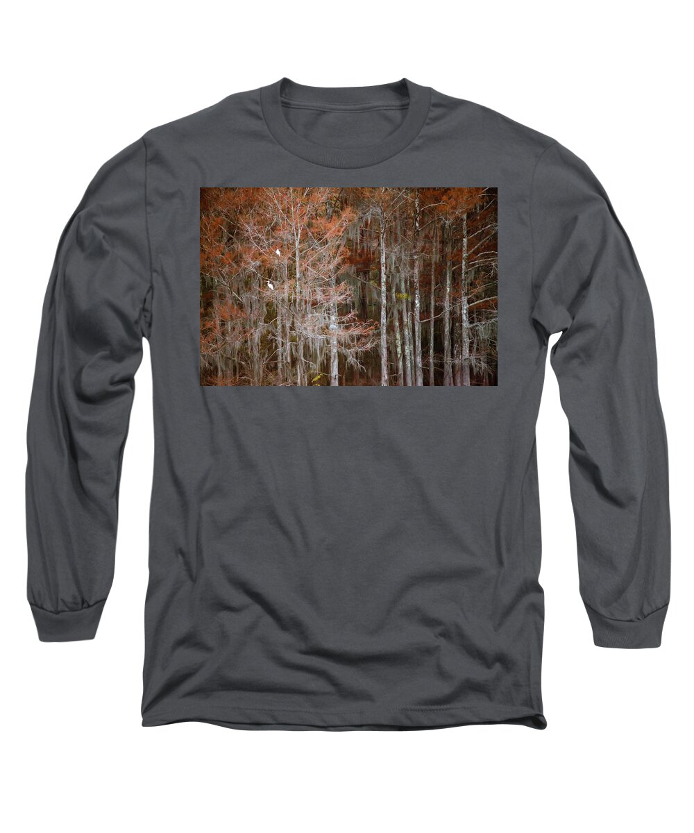 Landscape Long Sleeve T-Shirt featuring the photograph Waiting for Winter by Iris Greenwell