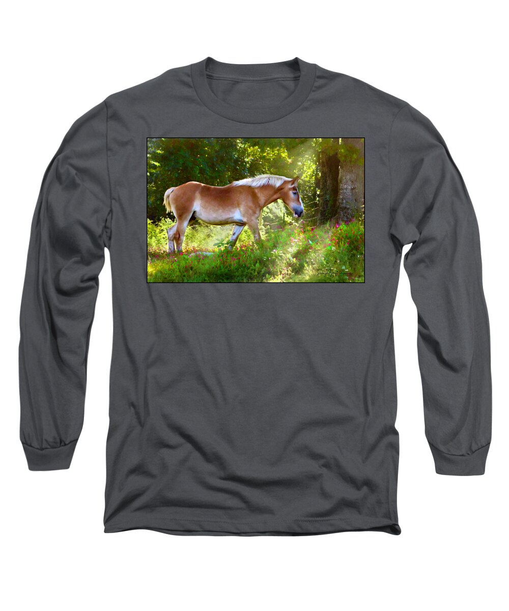 Horse Draft Horse Belgian Nature Sunshine Outdoors Green Woods Long Sleeve T-Shirt featuring the digital art Walkin on Sunshine by Posey Clements