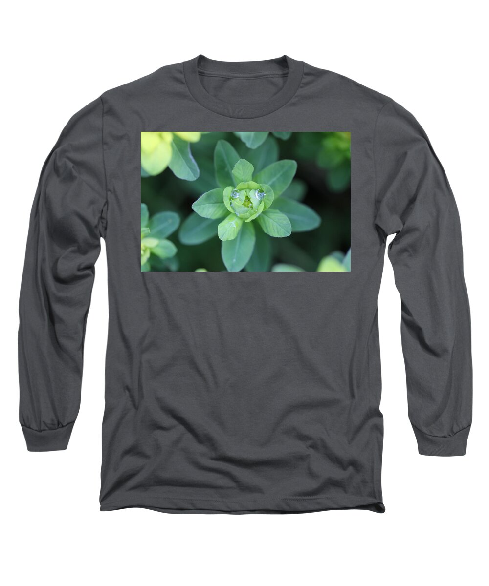 Water Drops Long Sleeve T-Shirt featuring the photograph Spurge Water Droplet Face by Tammy Pool