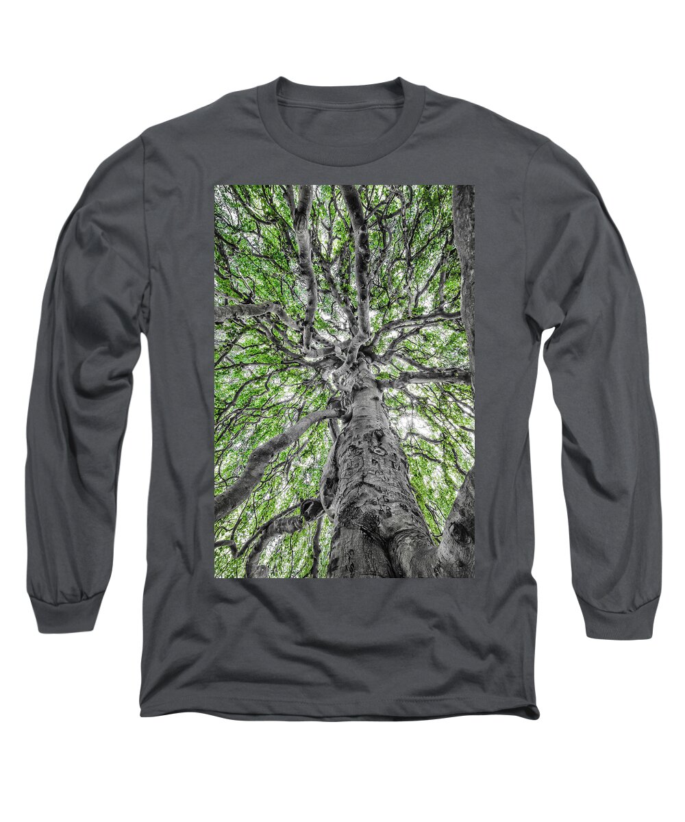 Weeping Long Sleeve T-Shirt featuring the photograph Weeping Beech by Steven Nelson