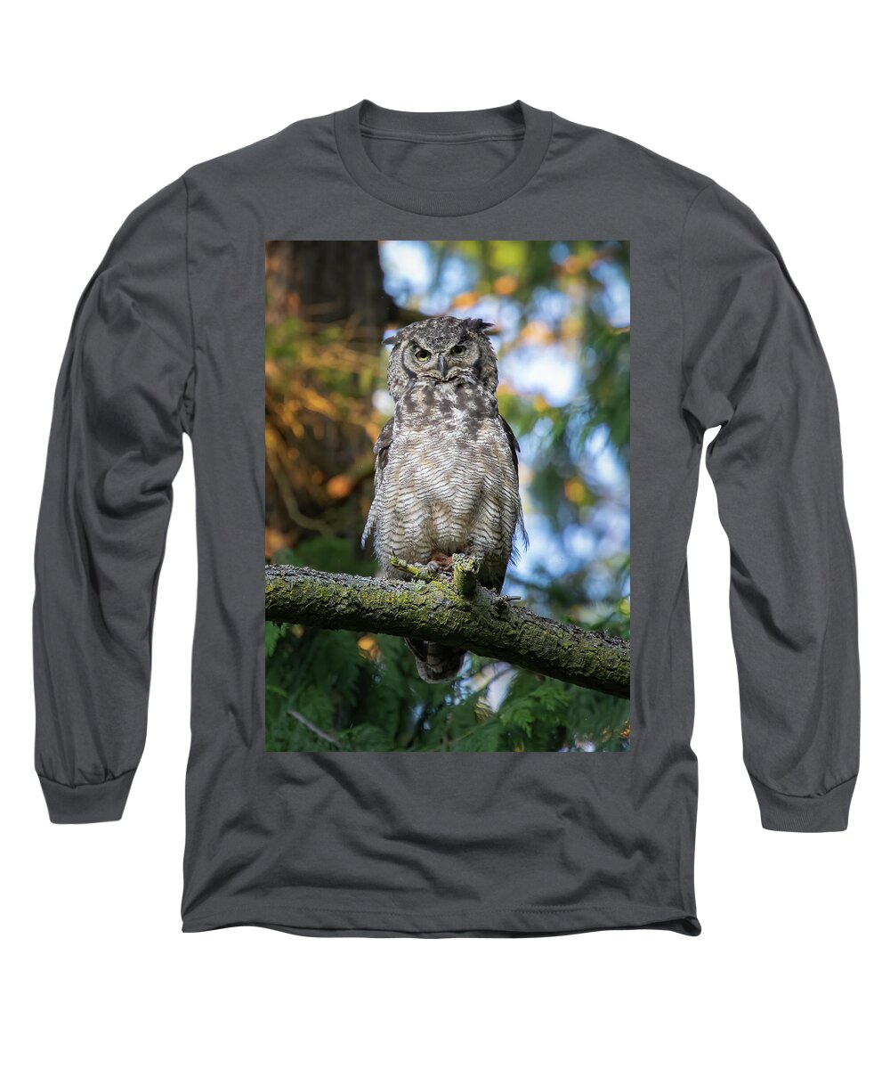 Owl Long Sleeve T-Shirt featuring the photograph What's Up Owl by Michael Rauwolf