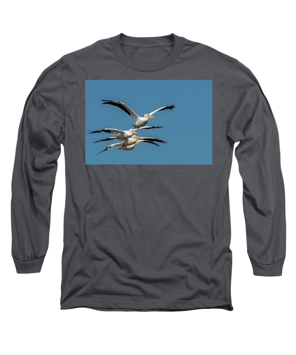 Pelicans Long Sleeve T-Shirt featuring the photograph White Pelicans in Flight by Linda Shannon Morgan