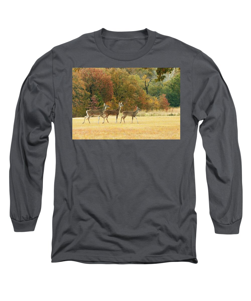 Nature Long Sleeve T-Shirt featuring the photograph White-tail Deer in Autumn Field by Sheila Brown