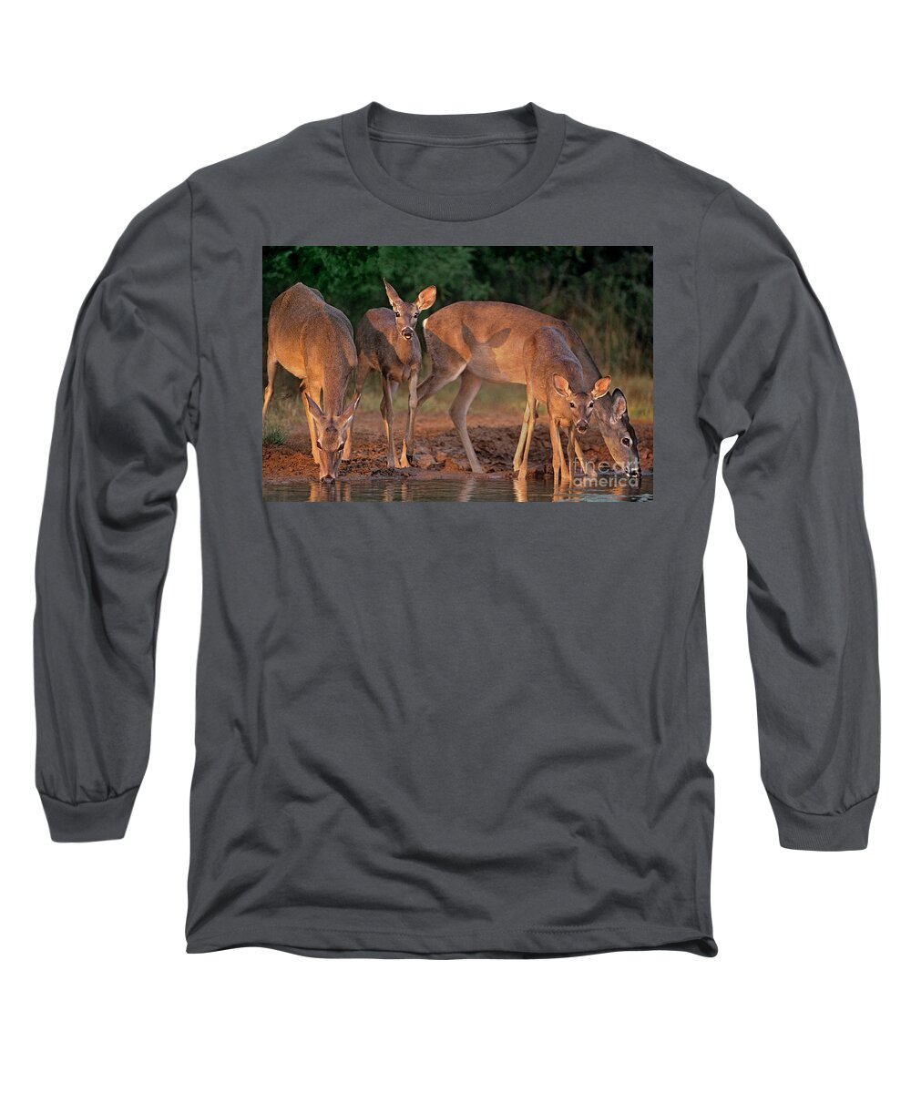 North America Long Sleeve T-Shirt featuring the photograph Whitetail Deer at Waterhole Texas by Dave Welling