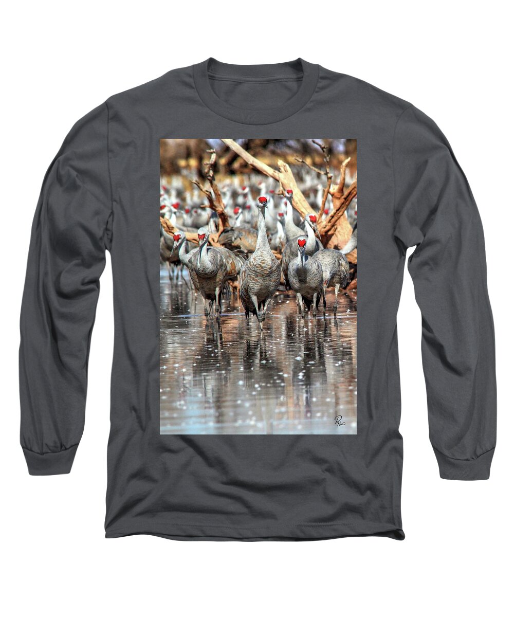 Wildlife Long Sleeve T-Shirt featuring the photograph Whitewater Draw 2575 by Robert Harris