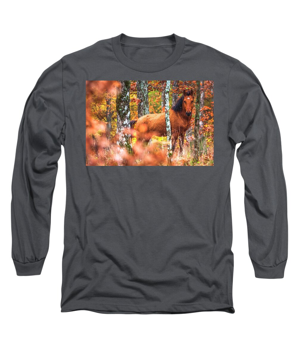 Animals Long Sleeve T-Shirt featuring the photograph Wild by Evgeni Dinev
