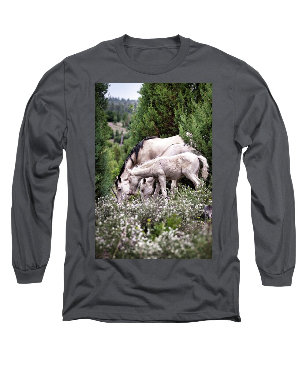 Wild Horses Long Sleeve T-Shirt featuring the photograph Wild Flower Breakfast by American Landscapes