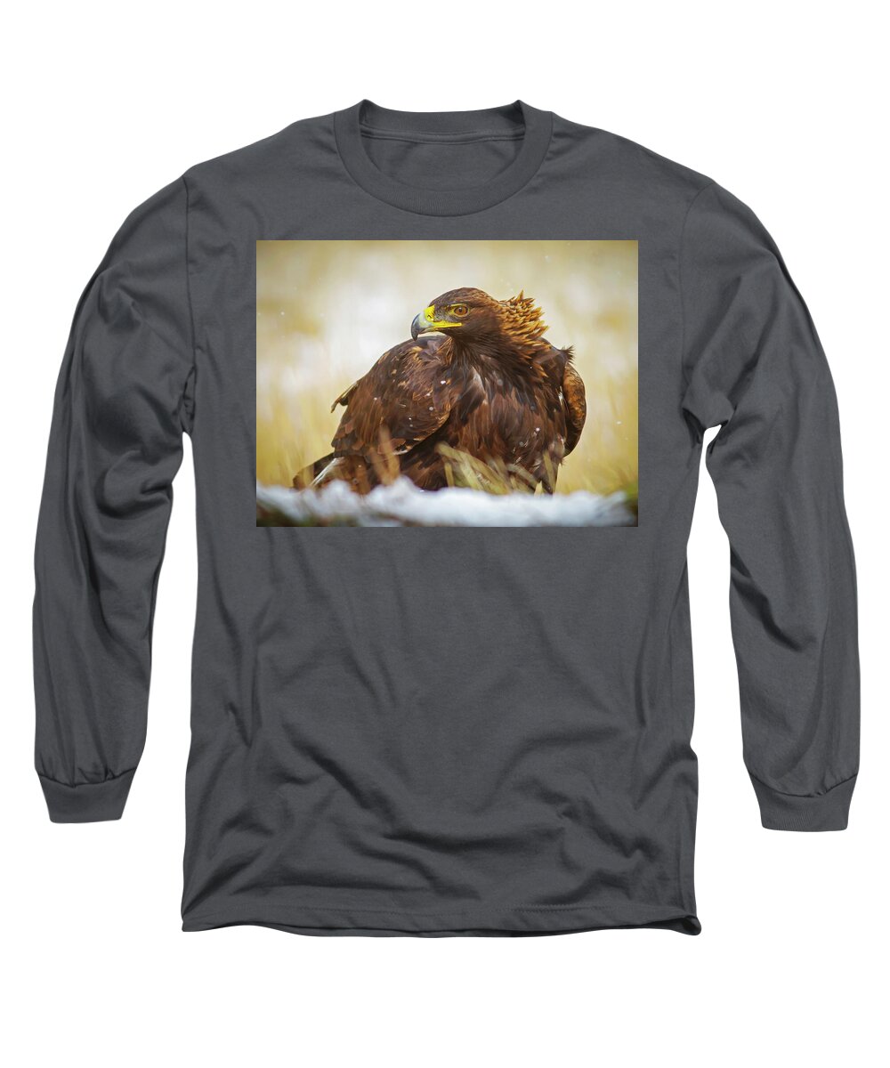 Eagle Long Sleeve T-Shirt featuring the photograph Wild Golden Eagle Portriat by Mark Miller