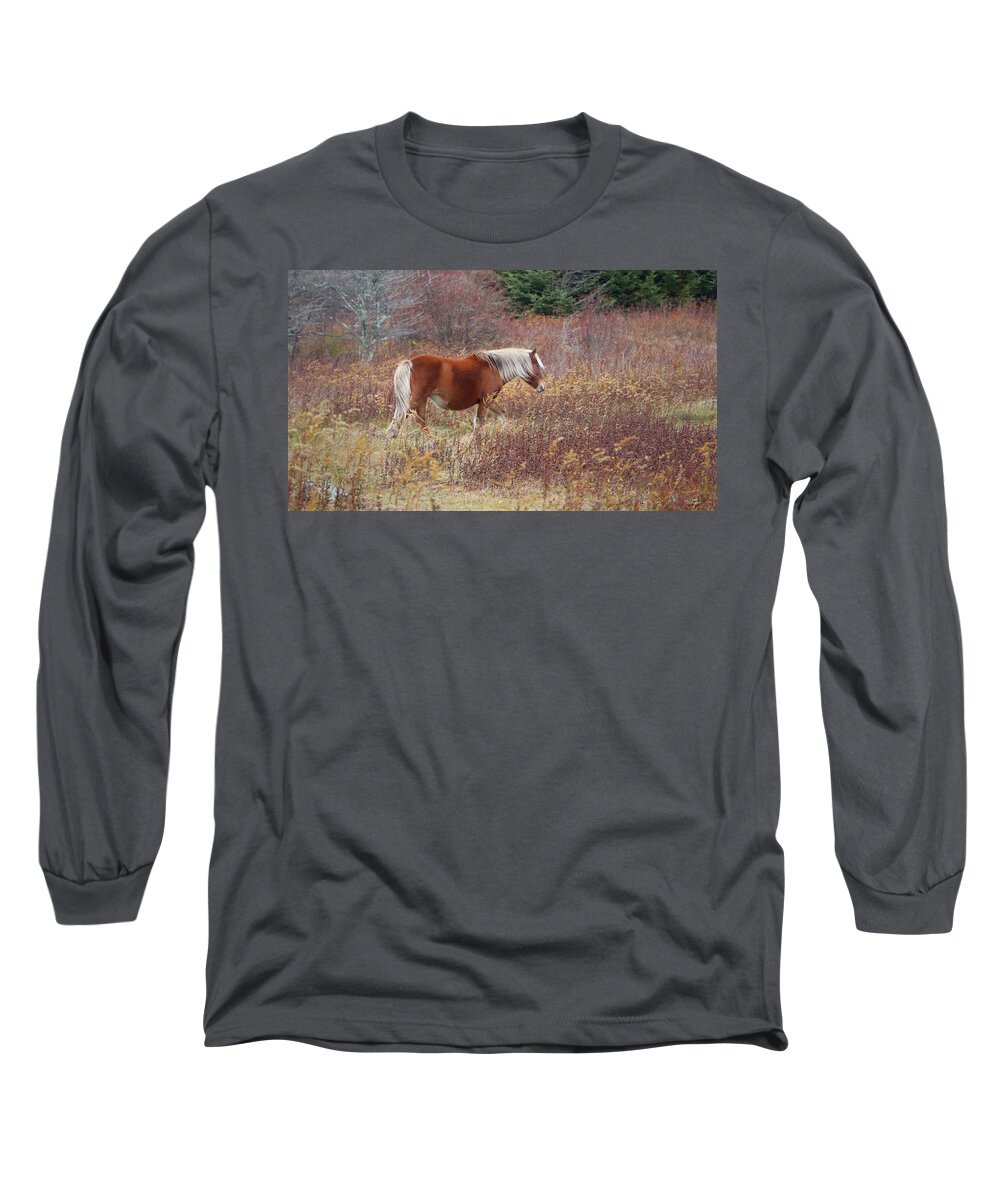 Appalachia Long Sleeve T-Shirt featuring the photograph WILD PONY of GRAYSON HIGHLANDS by Suzanne Stout