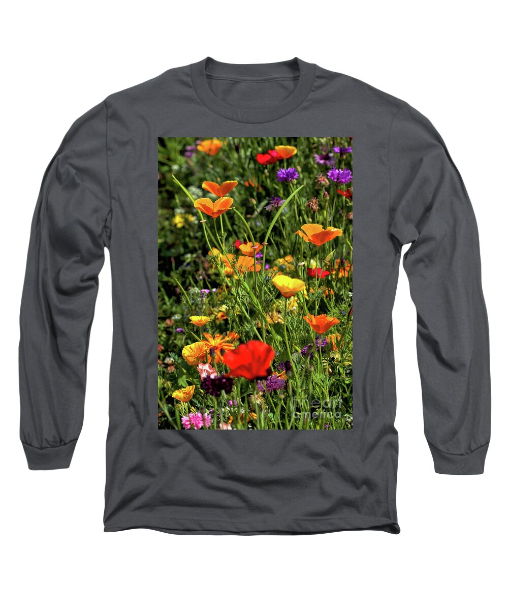 Flower Long Sleeve T-Shirt featuring the photograph Wild Poppies by Stephen Melia