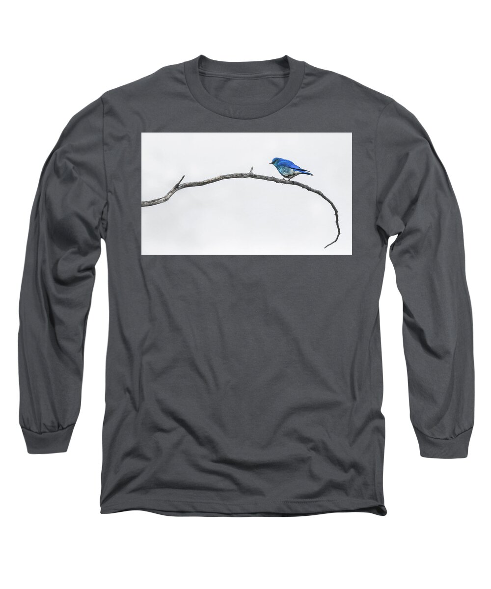 Winter Blues Long Sleeve T-Shirt featuring the photograph Winter Blues by Jaki Miller